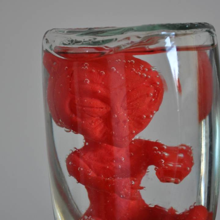 Alien Baby Inside A Jar image