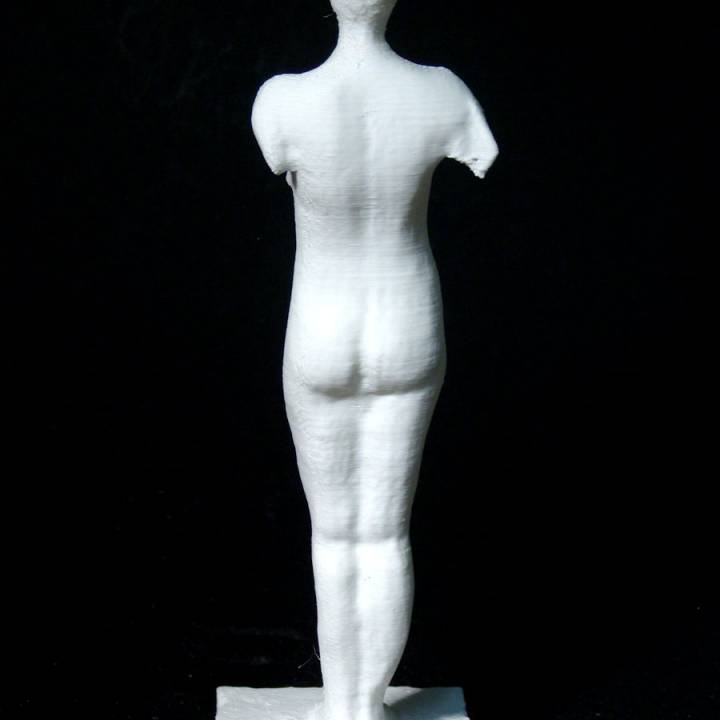 Homo Bulla III at The Saatchi Gallery, London image