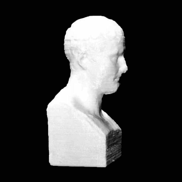 Bust of Napoleon Bonaparte at The Fine Arts Museum in Ghent, Belgium image