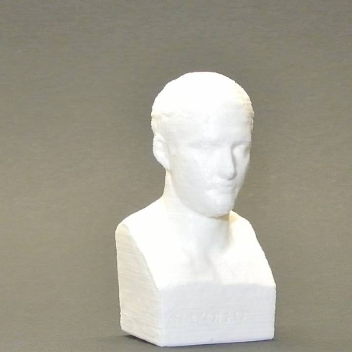 Bust of Napoleon Bonaparte at The Fine Arts Museum in Ghent, Belgium image