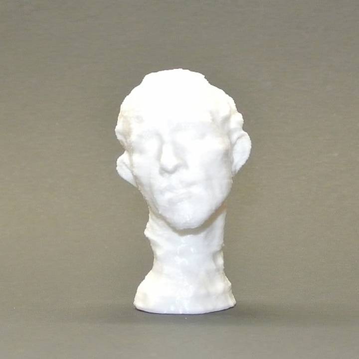 Head of Pierre de Wissant image