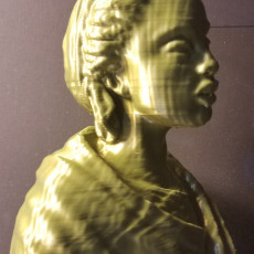 Picture of print of Bust of an African Woman at The Wallace Collection, London