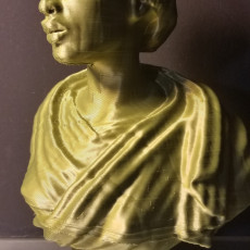 Picture of print of Bust of an African Woman at The Wallace Collection, London