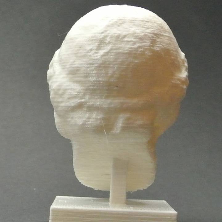 Female Head at The British Museum, London image