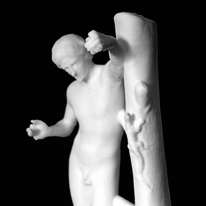 Apollo Sauroctonus at The Louvre, Paris image
