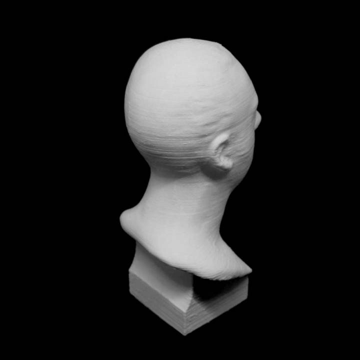 3D Printable Richard Payne Knight at The British Museum, London by Scan