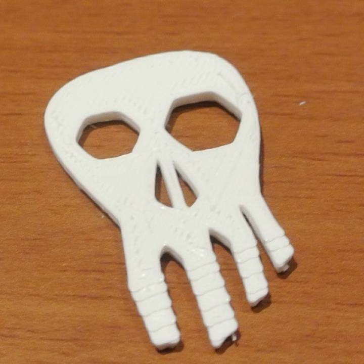 A skull logo image