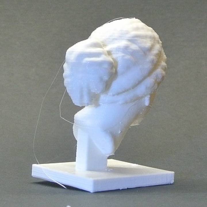 Female head, modeled from the Aphrodite of Cnidus at The Louvre, Paris image