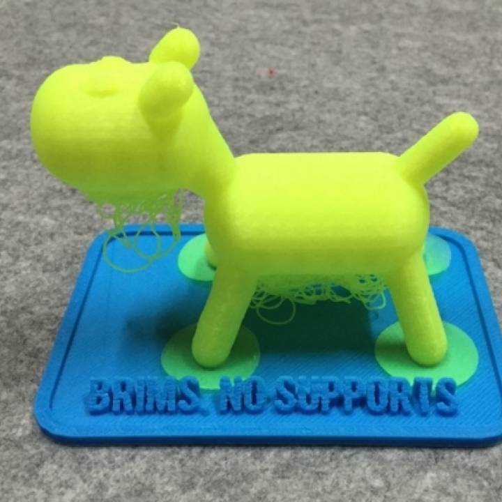 Teaching tool of 3D printer with brims & supports image