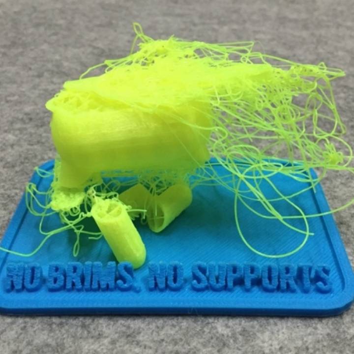 Teaching tool of 3D printer with brims & supports image
