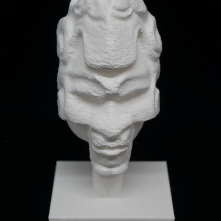 Stone Head (1) at The British Museum, London image