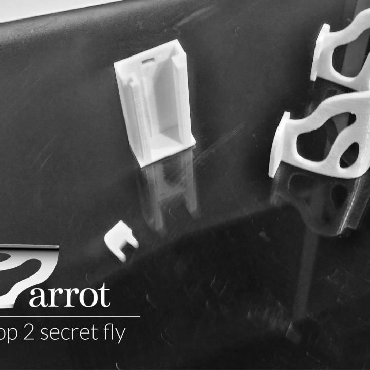 Parrot - Bebop 2 secret fly image