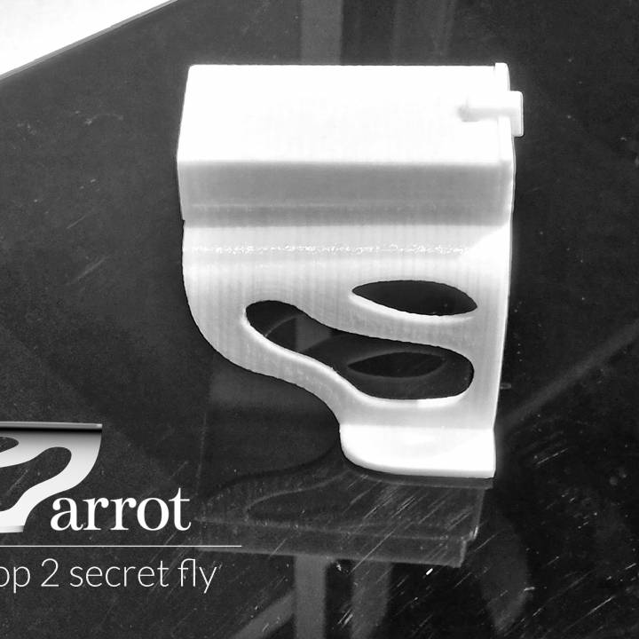 Parrot - Bebop 2 secret fly image