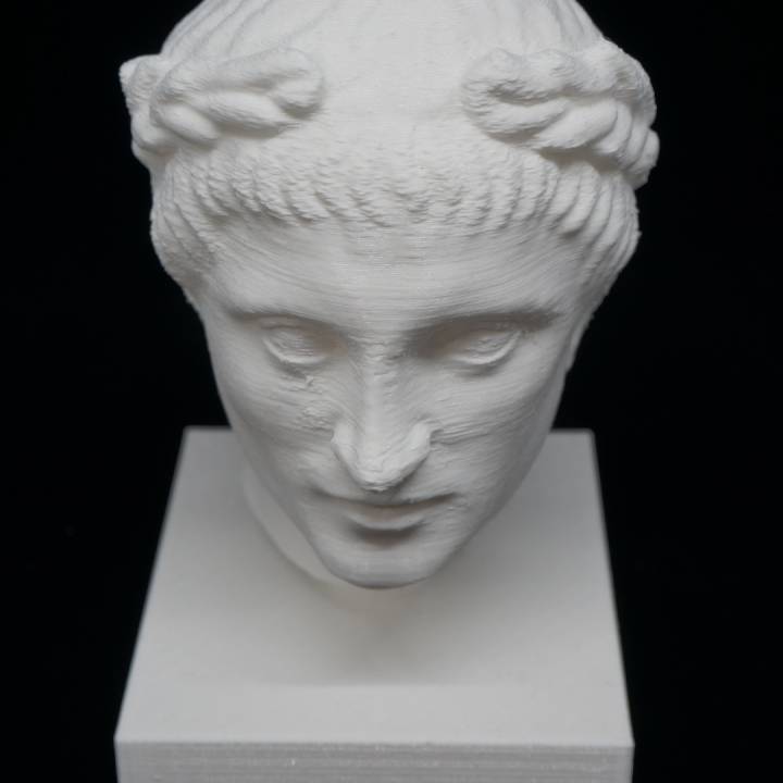 Hellenistic Male Head 1 at The British Museum, London image