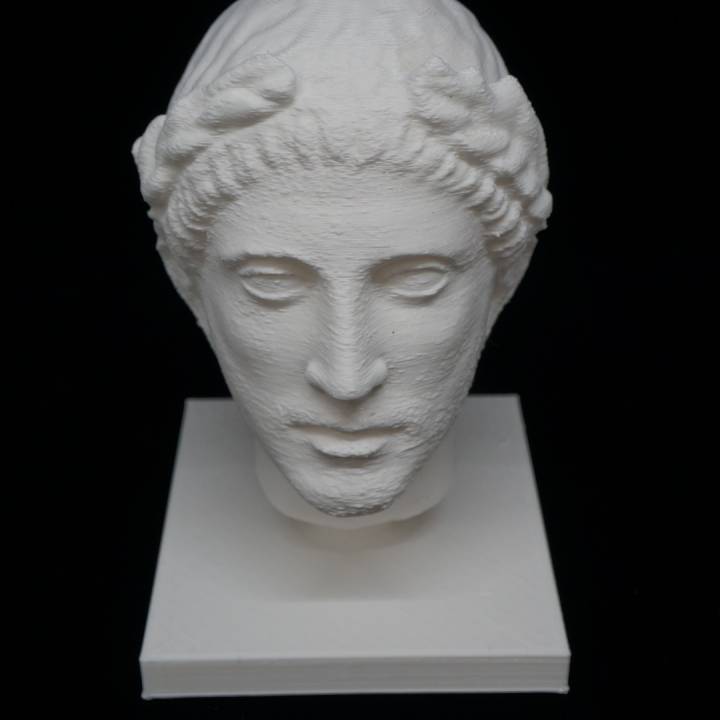 Hellenistic Male Head 2 at The British Museum, London image