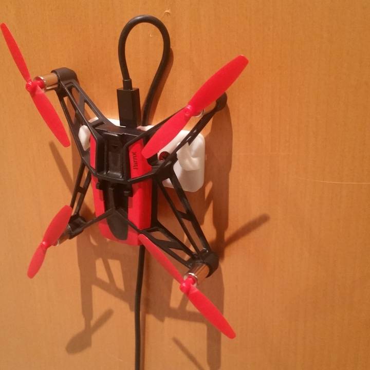 Mini-Drone Wall Nest image
