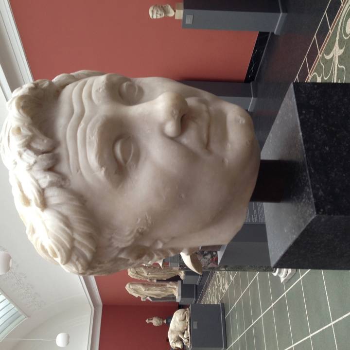 Head of Pompey the Great at The Ny Carlsberg Glpytotek, Copenhagen image