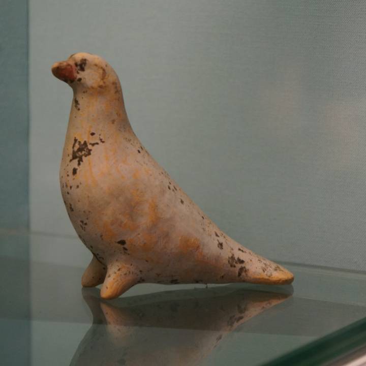 Dove at The British Museum, London image