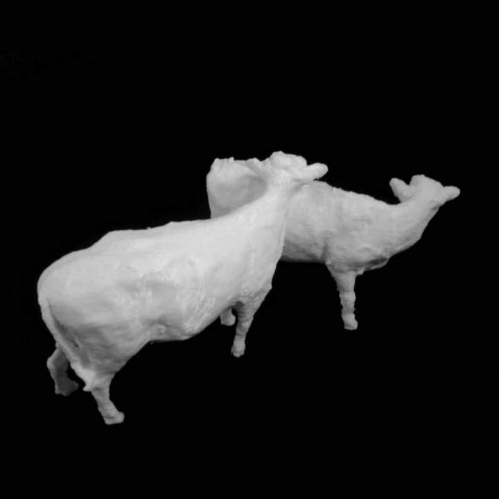 Two Cows at The Saatchi Gallery, London image
