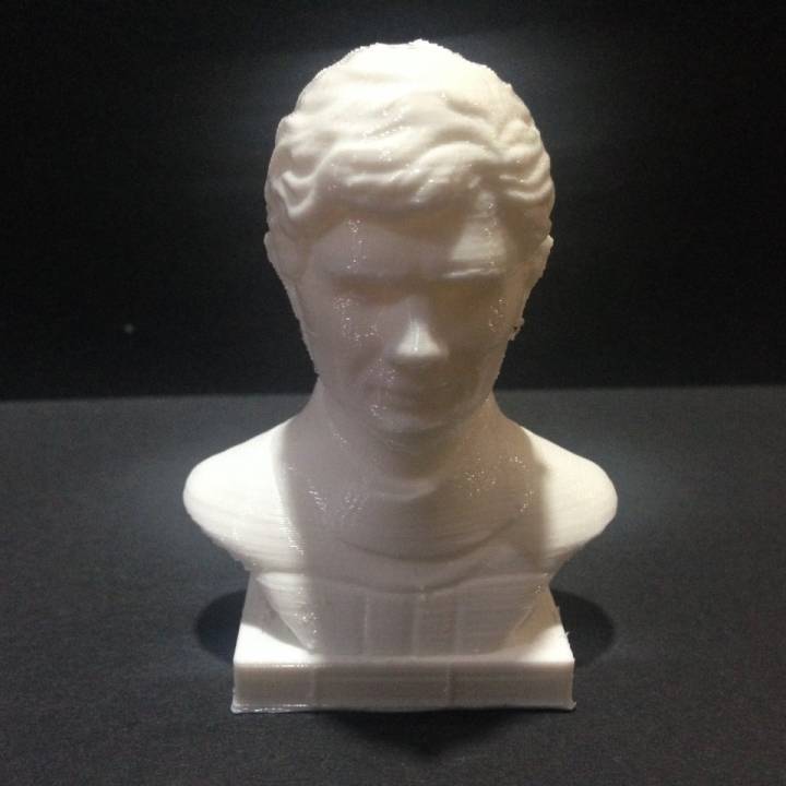 Bust of Ayrton Senna image