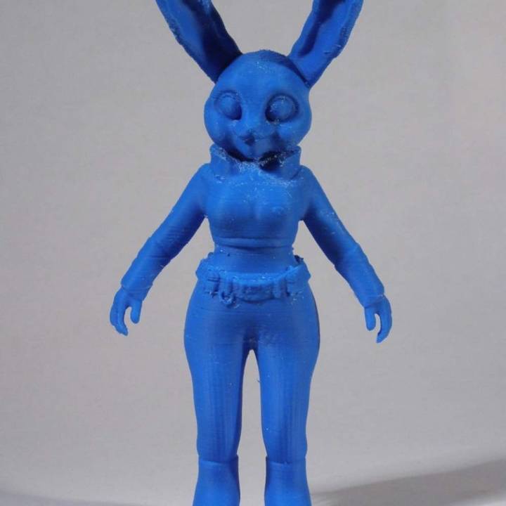 Bunny Police image