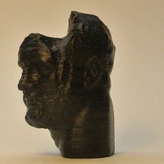 Picture of print of Head of a Bearded Man at the Getty Villa, Los Angeles