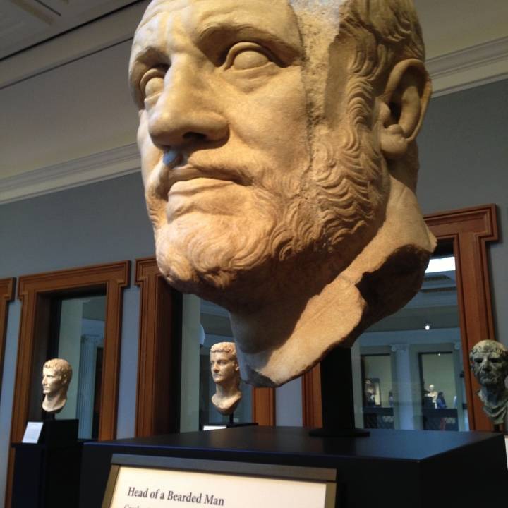 Head of a Bearded Man at the Getty Villa, Los Angeles image