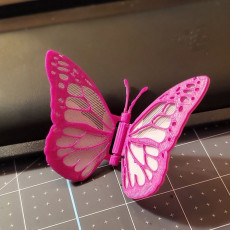 Picture of print of Hinged butterfly