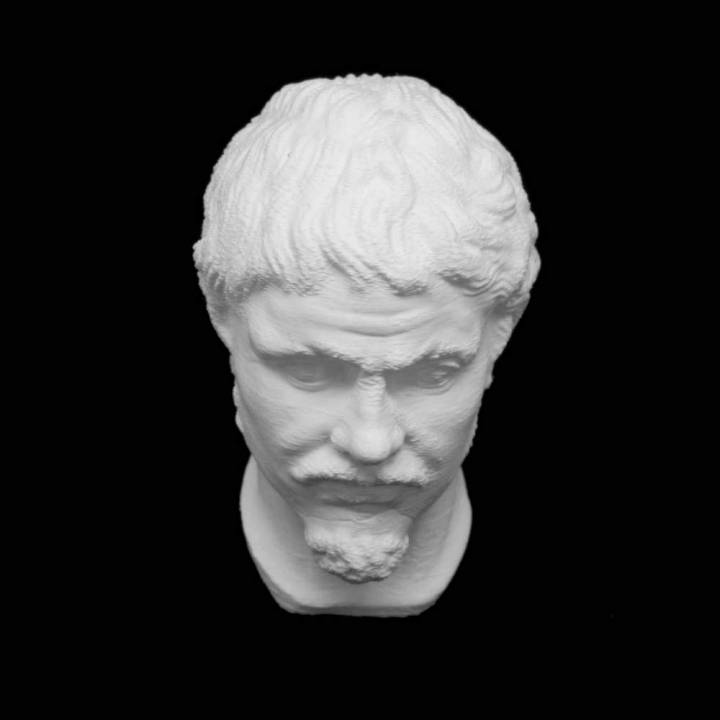 Head of a Barbarian at The State Hermitage Museum, St Petersburg image