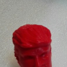 Picture of print of TRUMP Stress ball!