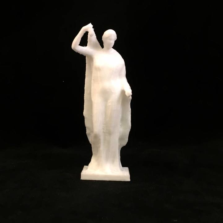 Statue of Venus at The State Hermitage Museum, St Petersburg image