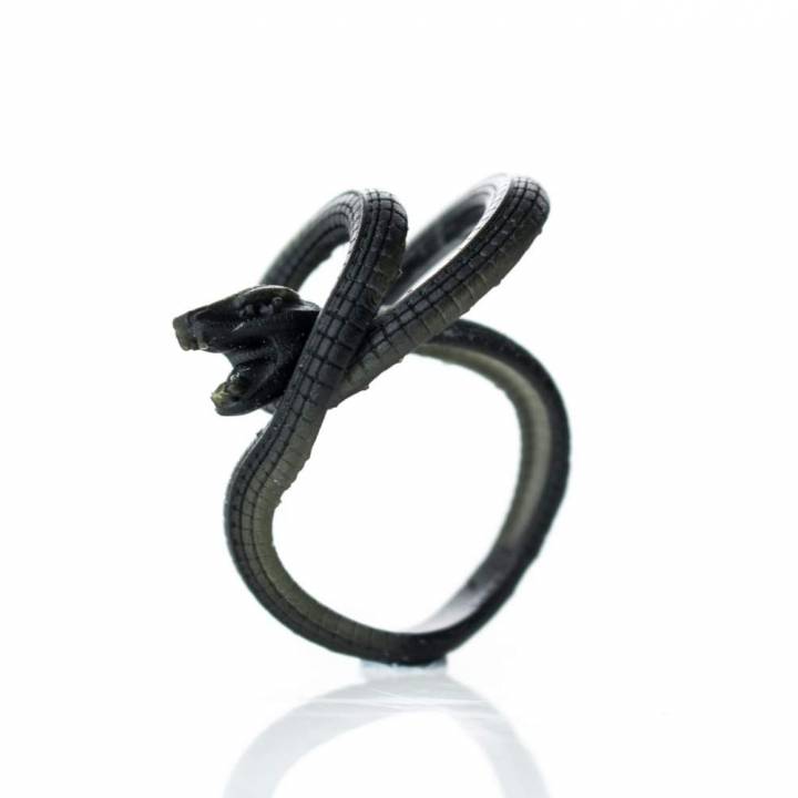 orm ring image