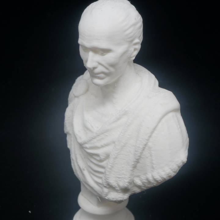 Portrait of Julius Caesar at The State Hermitage Museum, St Petersburg image