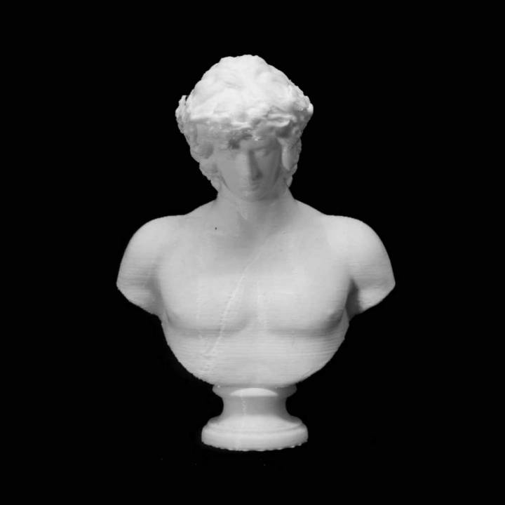 Portrait of Antinous at The State Hermitage Museum, St Petersburg image