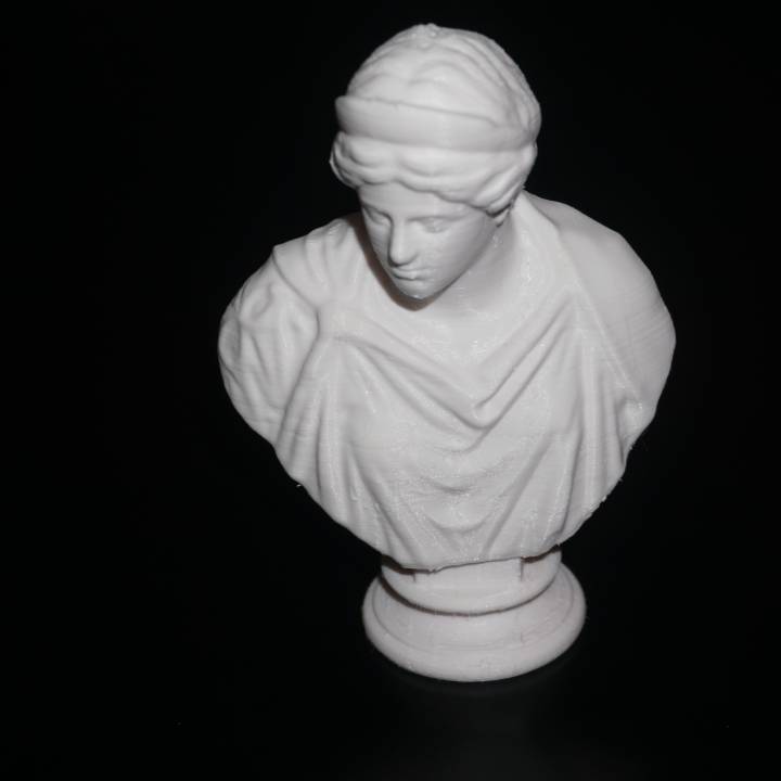 Female Bust at The State Hermitage Museum, St Petersburg image