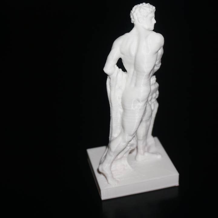 Gaius Mucius Scaevola at The Louvre, Paris image