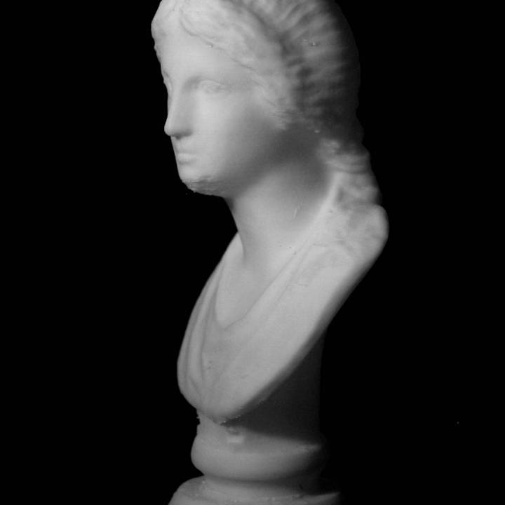 Head of Artemis at The State Hermitage Museum, St Petersburg image