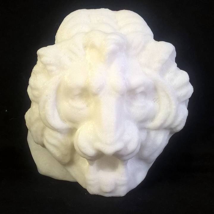 A Lion Mask at The Barber Institute, Birmingham image