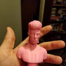 Picture of print of David Bowie Bust