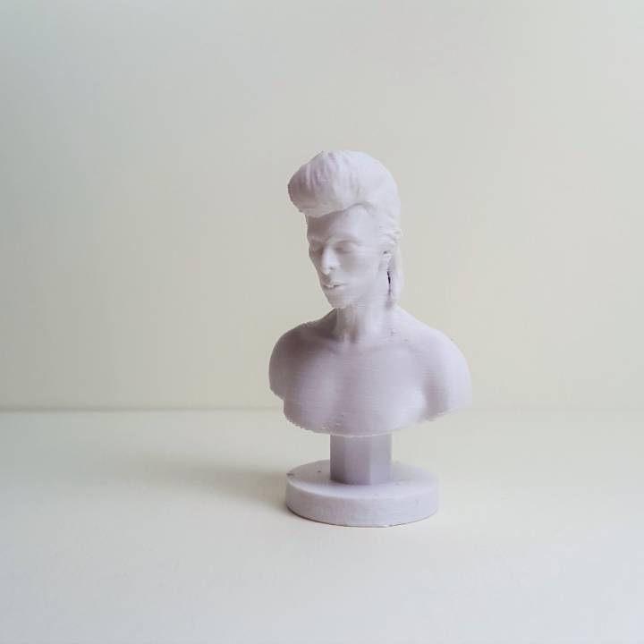 David Bowie Bust image