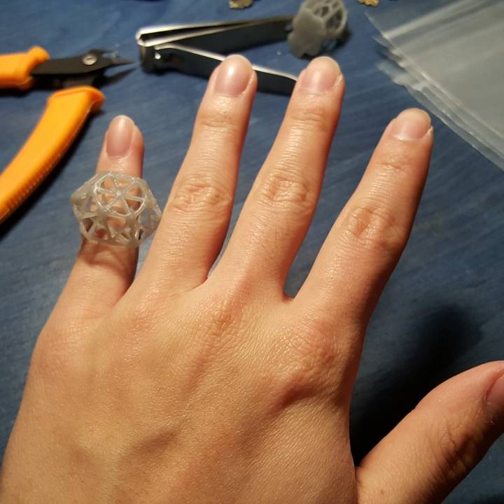 Skeletal Diamond Ring (size 5) image