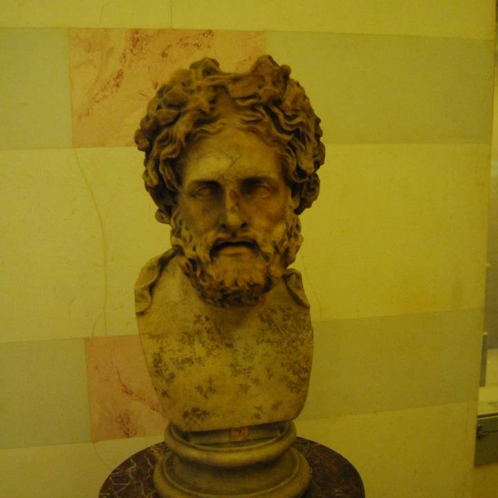 Head of Asclepius at The State Hermitage Museum, St Petersburg image