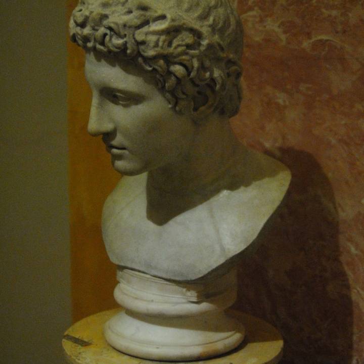 Head of an Athlete at The State Hermitage Museum, St Petersburg image