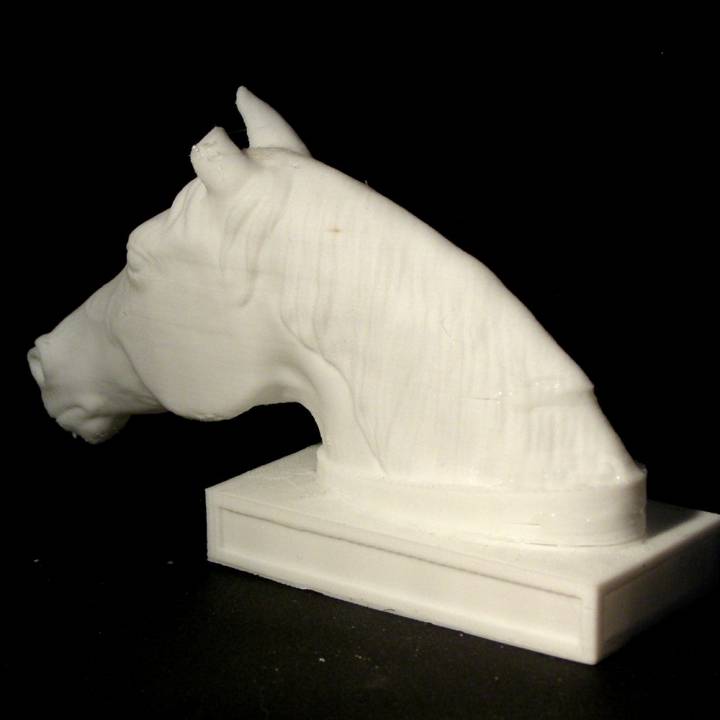 Head of a Horse image