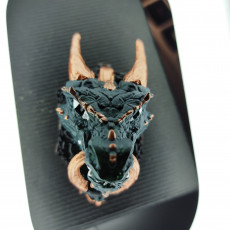 Picture of print of Dragon Knocker