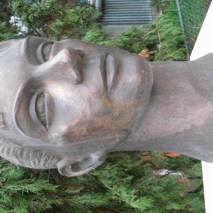 Andreea Răducan bust in Deva, Romania image