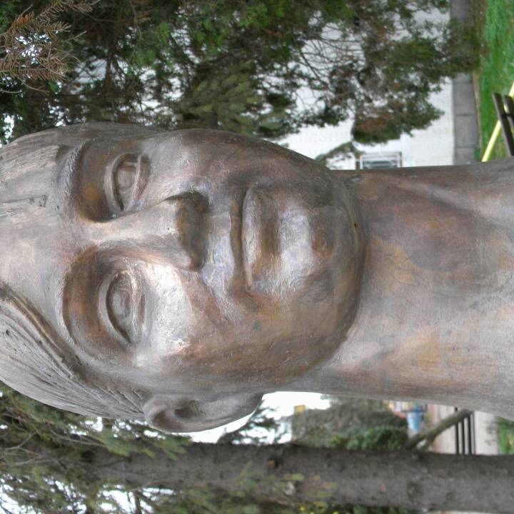 Ecaterina Szabo bust in Deva, Romania image