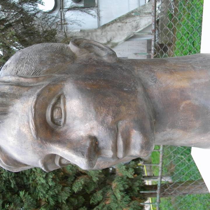 Gina Gogean bust in Deva, Romania image