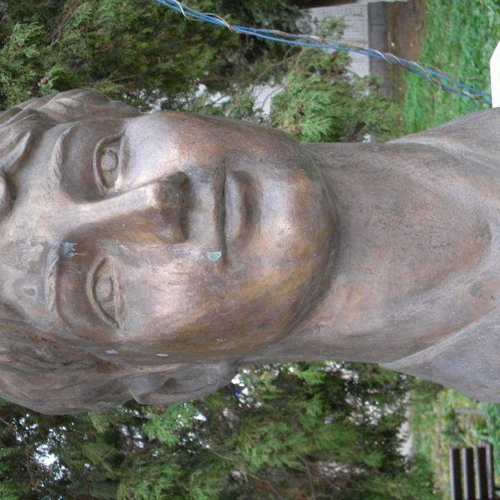 Lavinia Agache bust in Deva, Romania image