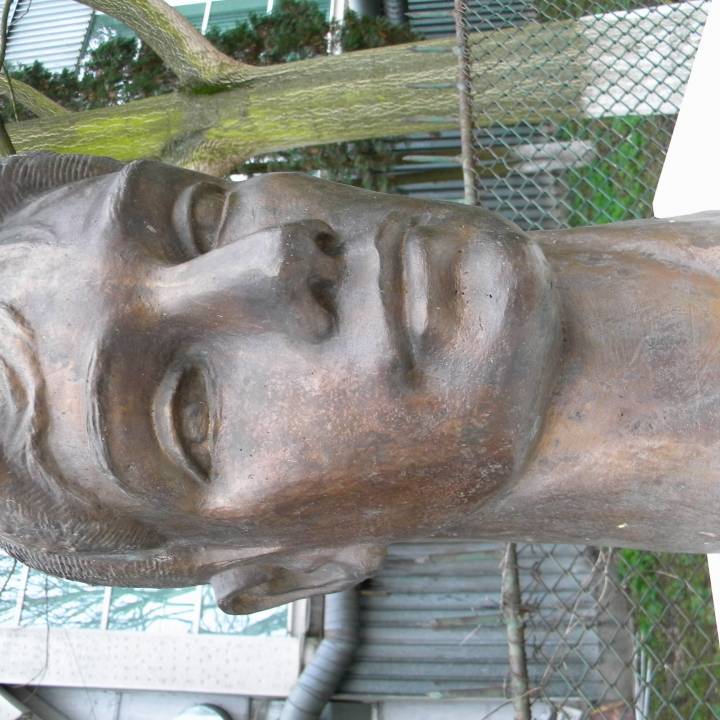 Lavinia Miloșovici bust in Deva, Romania image